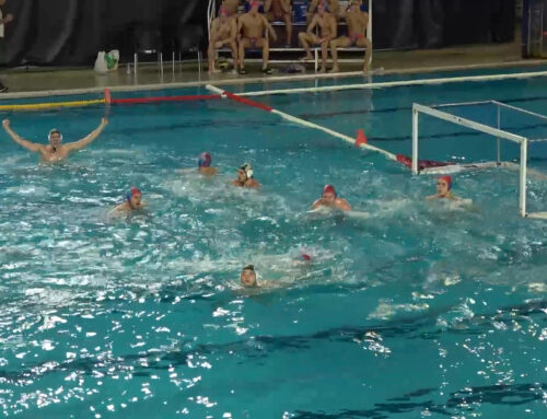 Zemun ne može bez drame